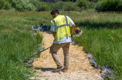 Photo of community service worker
