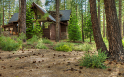 Home near forest, little defensible space