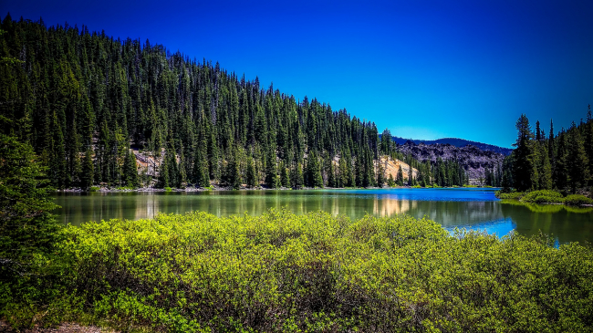 Todd Lake