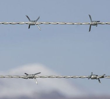 Barbed Wire