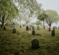 Cemetery